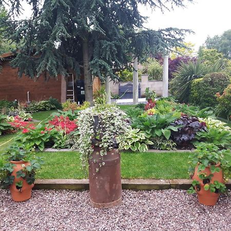 cabin set in a beautiful romantic tropical garden Sutton Coldfield Exterior foto