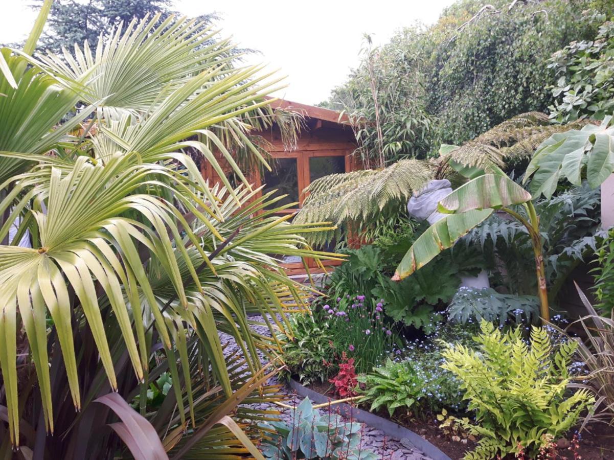 cabin set in a beautiful romantic tropical garden Sutton Coldfield Exterior foto
