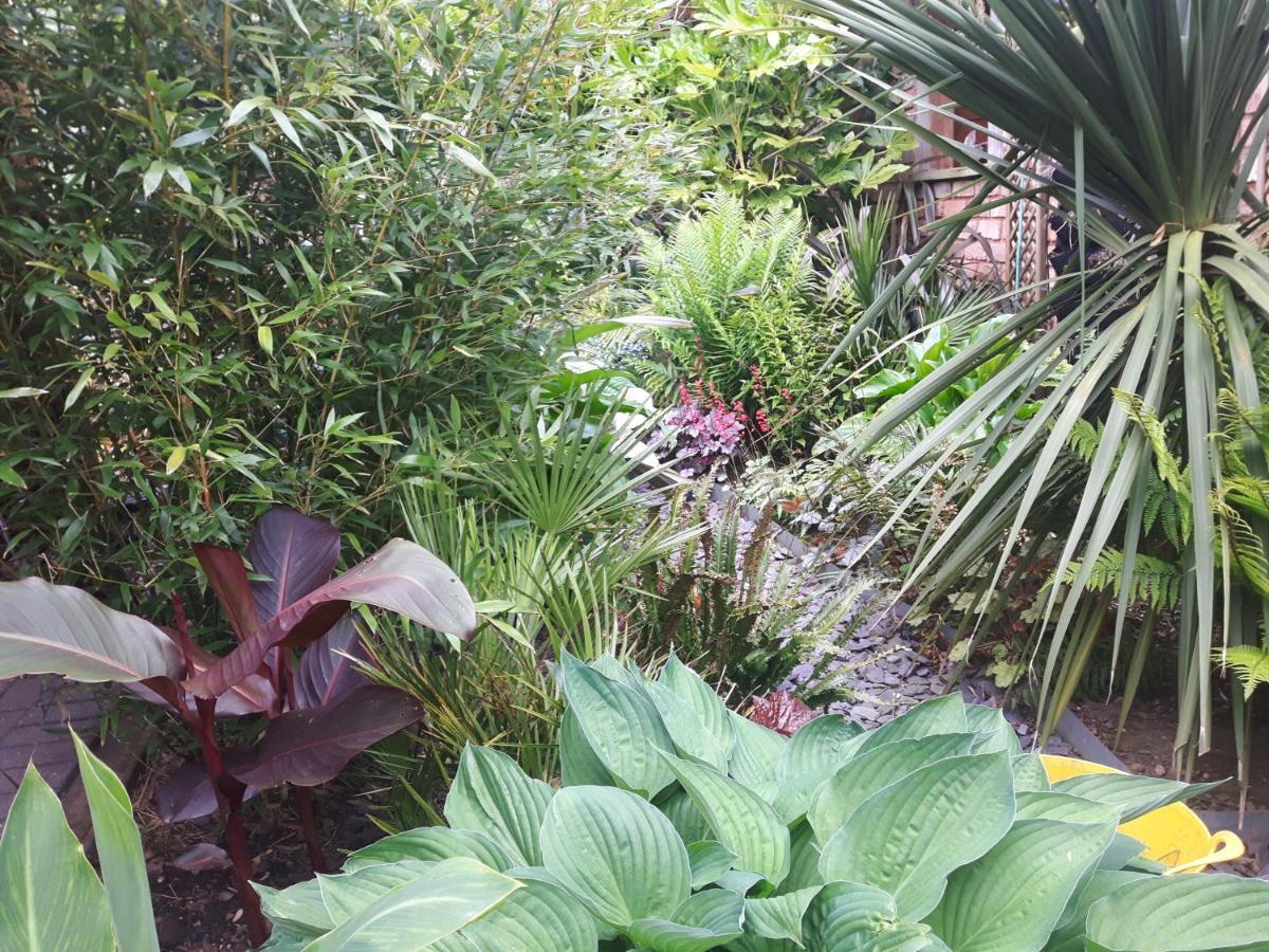 cabin set in a beautiful romantic tropical garden Sutton Coldfield Exterior foto