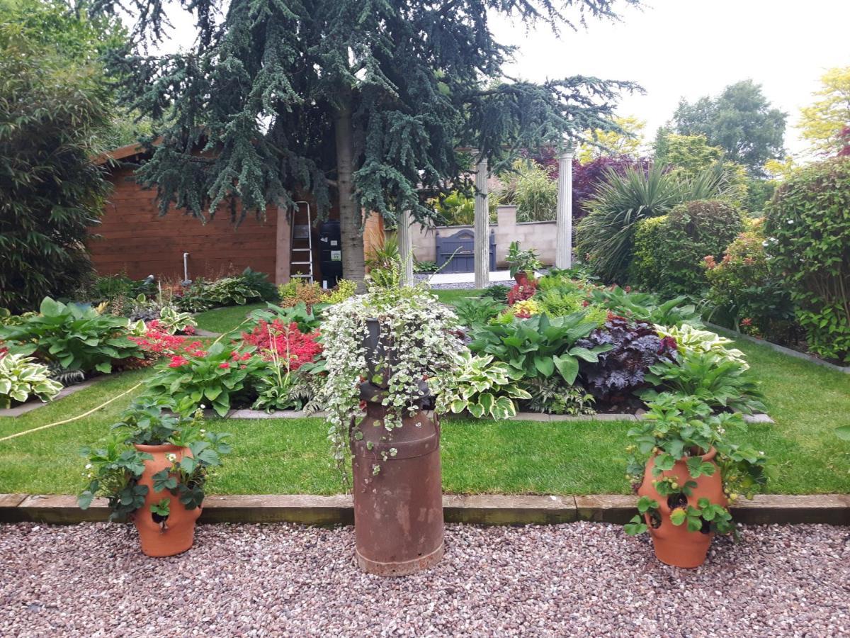 cabin set in a beautiful romantic tropical garden Sutton Coldfield Exterior foto