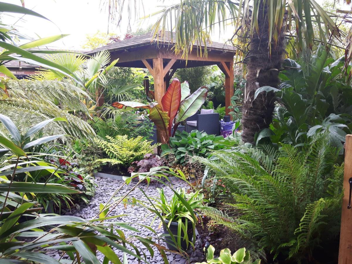 cabin set in a beautiful romantic tropical garden Sutton Coldfield Exterior foto
