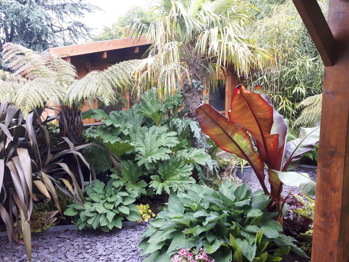 cabin set in a beautiful romantic tropical garden Sutton Coldfield Exterior foto